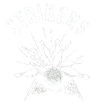 T-shirt Graphic
